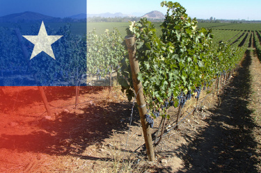 chile22