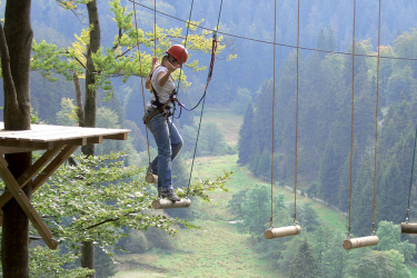 Eine Person überquert gesichert einen Hochseilparcours in luftiger Höhe – unter ihr das bewaldete Tal