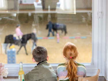reiten getränke