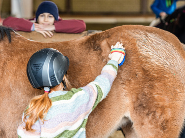 reiten3