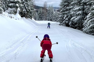 ski