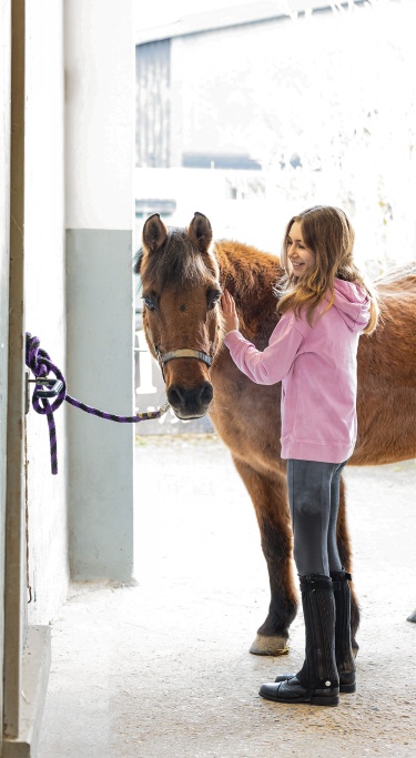 reiten66