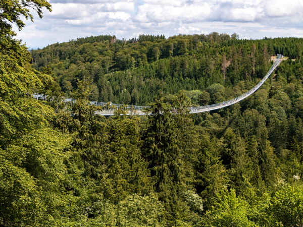 willingen