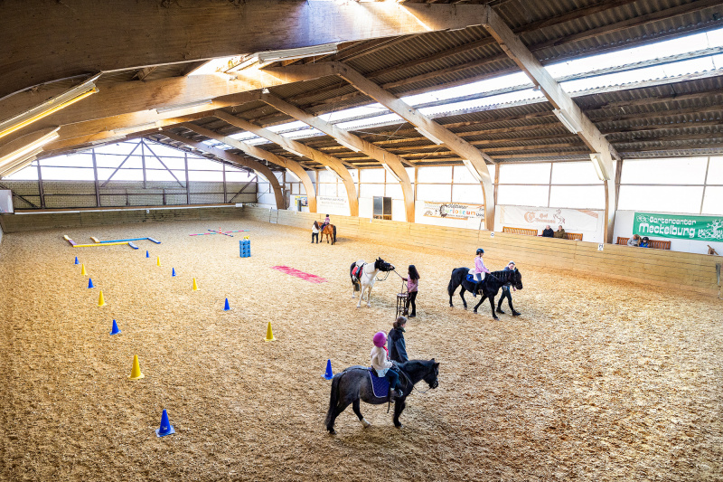 reiten