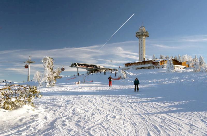ski